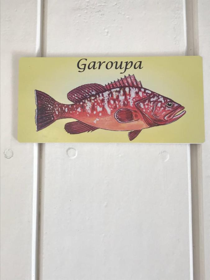 Hotel Aquarius Osteria Arraial do Cabo Zewnętrze zdjęcie